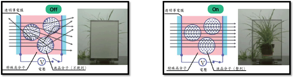 PDLC(Polymer Dispersed Liquid Crystals)